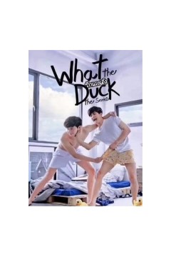 爱的着陆第一季