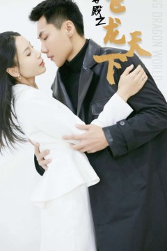 帝尊殿之飞龙天下