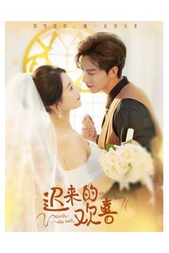 迟来的欢喜短剧