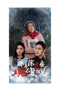 那年除夕后生死不复相见