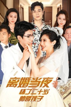 离婚当夜怀了二十岁帅哥