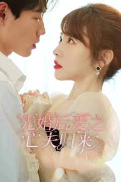先婚后爱之亡夫归来