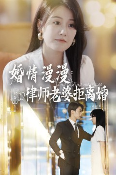 婚情漫漫：律师老婆拒离婚