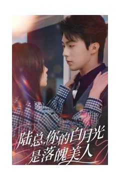 陆总你的白月光是落魄美人