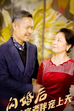 闪婚后被首富老伴宠上天