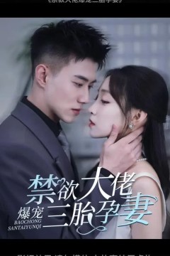 禁欲大佬爆宠三胎孕妻