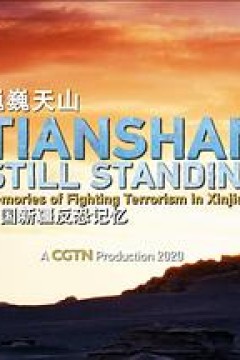 巍巍天山——中国新疆反恐记忆