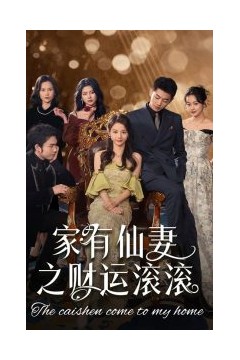 家有仙妻之财运滚滚