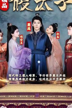 极品假太子(穿越剧)