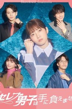 名流男子太棘手