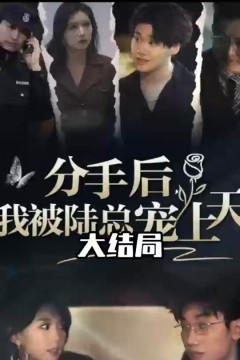 分手后，我被陆总宠上天