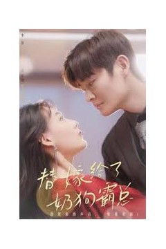 替嫁给了奶狗霸总