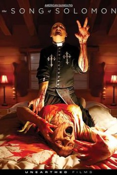 美国豚鼠3：所罗门之歌