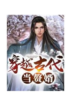 穿越古代当赘婿