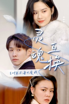 灵魂互换后之叶总不要太爱我