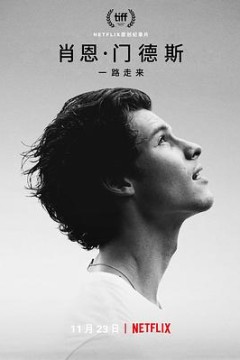 肖恩·门德斯：一路走来