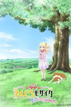 黄金拼图 Thank you!!