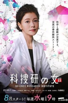 科搜研之女第23季