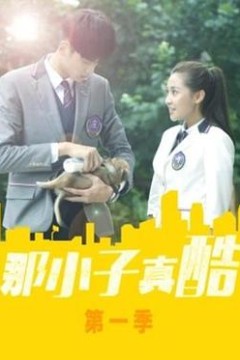 那小子真酷第一季