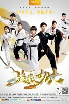 旋风少女第一季