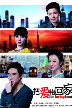 把爱带回家DVD