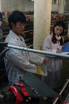 我和教授“羊粪豆”