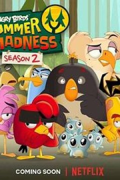 愤怒的小鸟：夏日疯狂第二季
