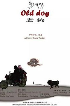 老狗