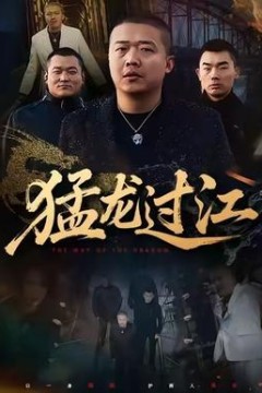 猛龙过江