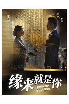 缘来就是你短剧版