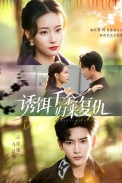 诱饵千金，归来复仇
