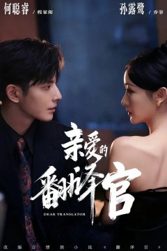 亲爱的翻译官(2026)