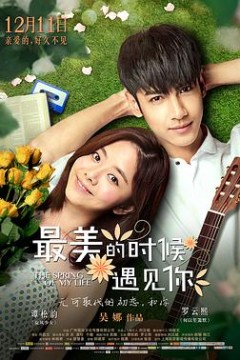 最美的时候遇见你2014