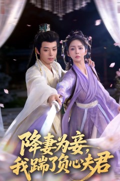 降妻为妾，我踹了负心夫君