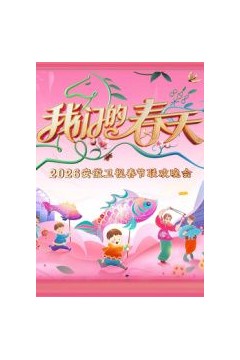 安徽卫视春节联欢晚会2026