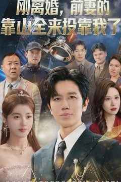 离婚，前妻的靠山全来投靠我了