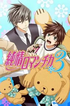 纯情罗曼史3