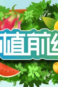 种植前线2026