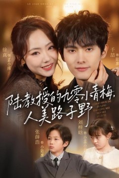 陆教授的九零小青梅，人美路子野