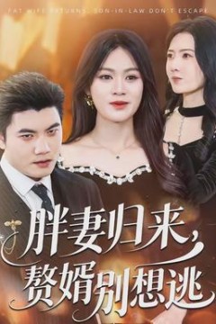 胖妻归来，赘婿别想逃