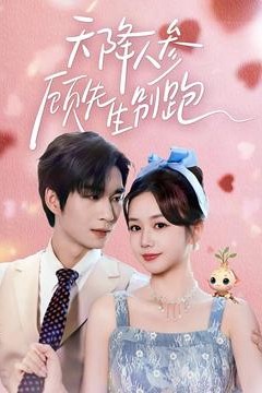 天降人参顾先生别跑