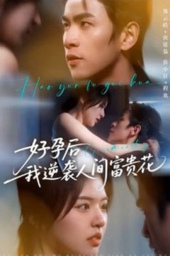 夜先生的小欢喜(好孕后我逆袭人间富贵花)