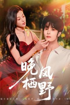 晚风栖野