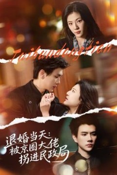 退婚当天：被京圈大佬拐进民政局