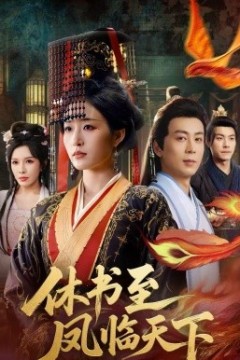 休书至凤临天下