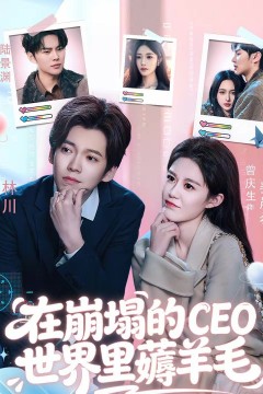 在崩塌的CEO世界里薅羊毛