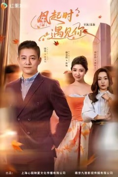 风起时遇见你