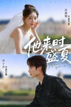 他来时盛夏