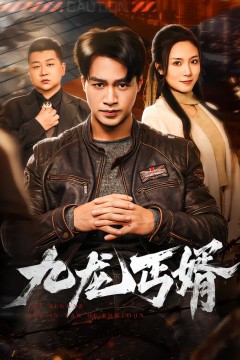九龙丐婿