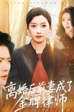 离婚后前妻成了金牌律师